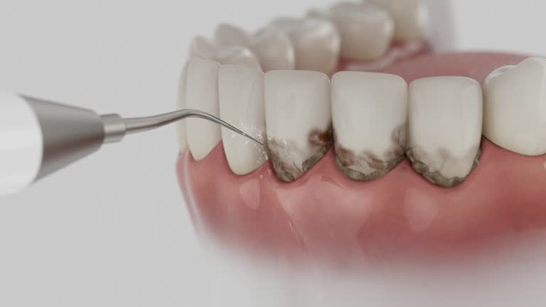 Reliable Dental contractor in Lake Wylie, SC by Dentist Open Now